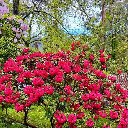 Melbourne Topview Villa In Dandenong Ranges Near Skyhigh Kalorama Bagian luar foto