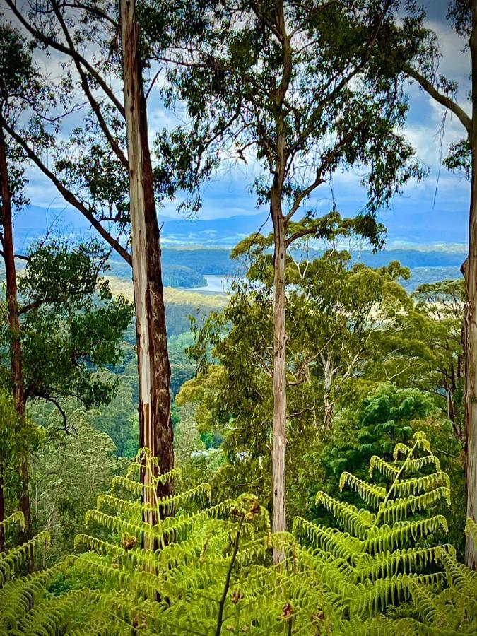 Melbourne Topview Villa In Dandenong Ranges Near Skyhigh Kalorama Bagian luar foto
