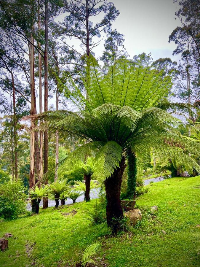 Melbourne Topview Villa In Dandenong Ranges Near Skyhigh Kalorama Bagian luar foto