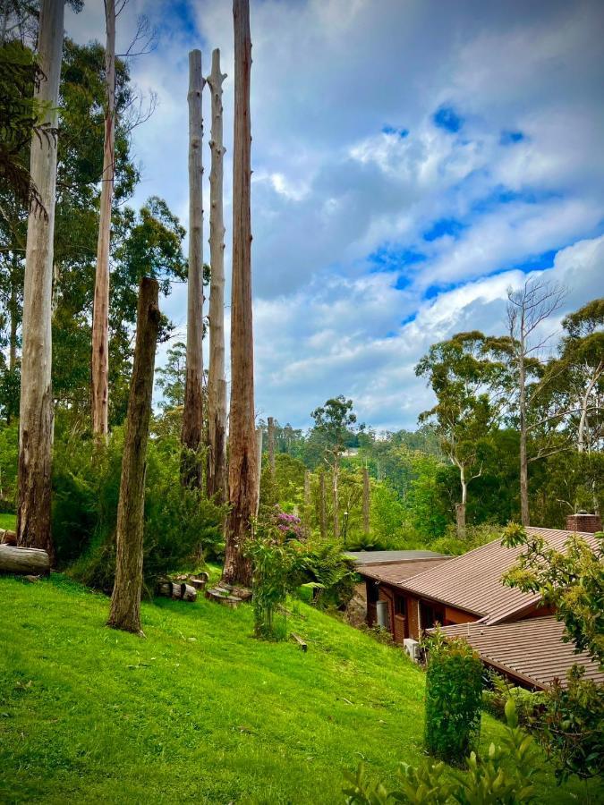 Melbourne Topview Villa In Dandenong Ranges Near Skyhigh Kalorama Bagian luar foto