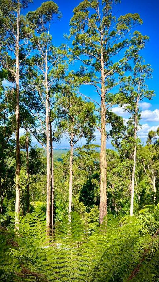 Melbourne Topview Villa In Dandenong Ranges Near Skyhigh Kalorama Bagian luar foto