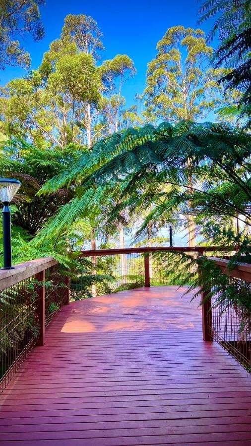 Melbourne Topview Villa In Dandenong Ranges Near Skyhigh Kalorama Bagian luar foto