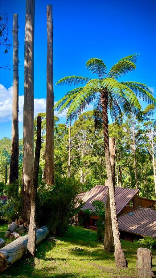 Melbourne Topview Villa In Dandenong Ranges Near Skyhigh Kalorama Bagian luar foto