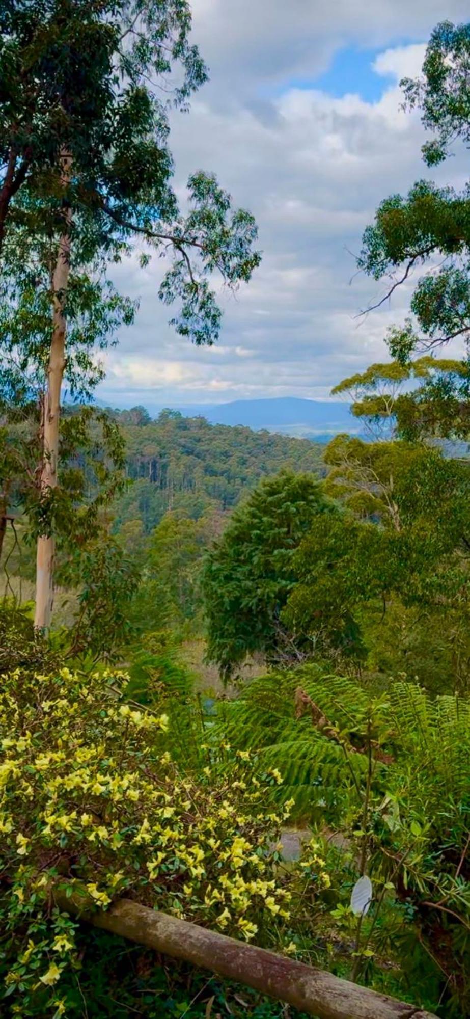 Melbourne Topview Villa In Dandenong Ranges Near Skyhigh Kalorama Bagian luar foto