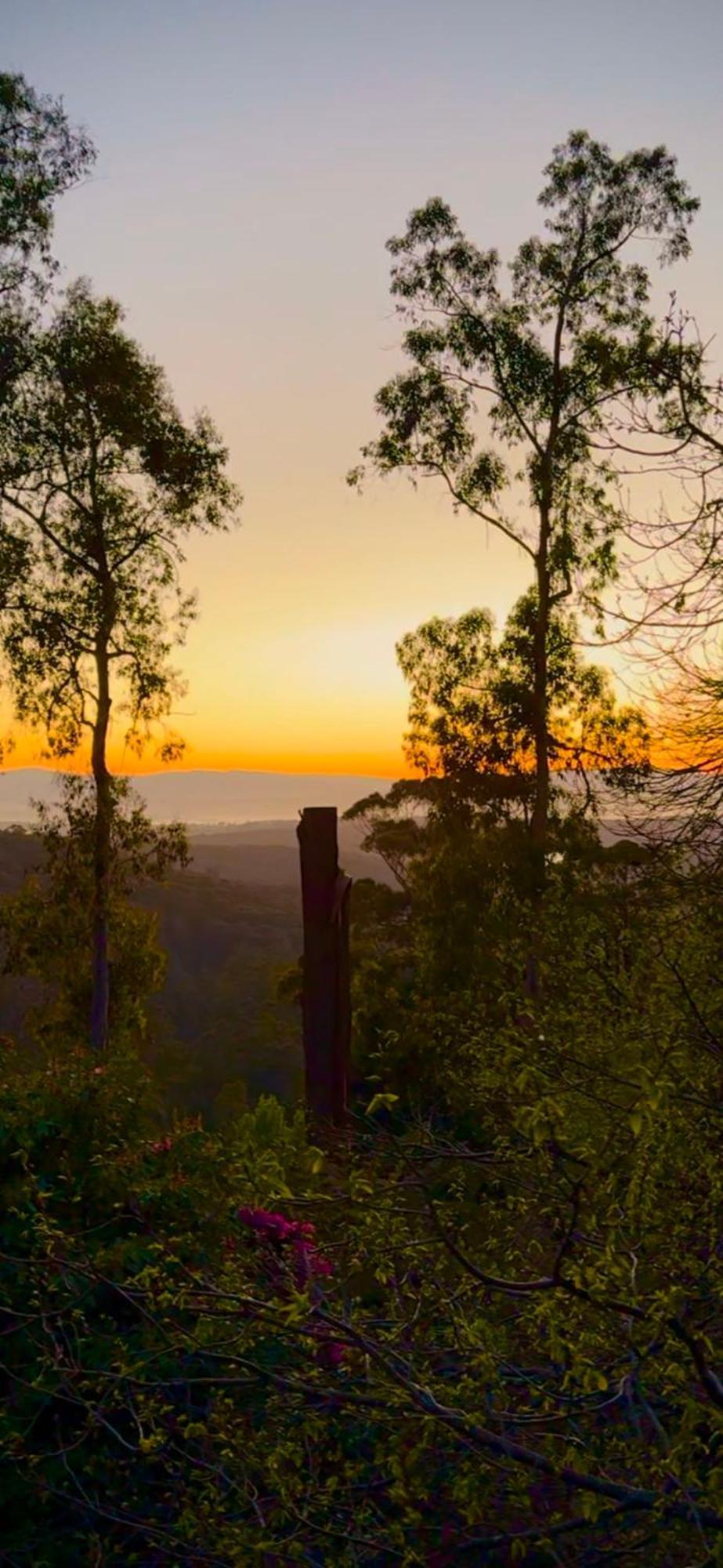 Melbourne Topview Villa In Dandenong Ranges Near Skyhigh Kalorama Bagian luar foto
