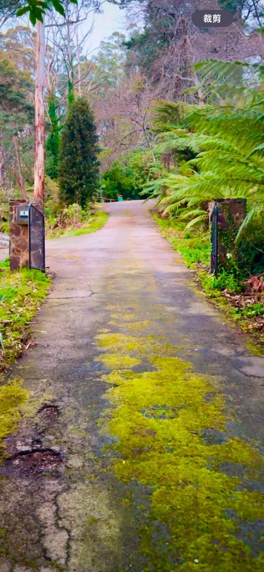 Melbourne Topview Villa In Dandenong Ranges Near Skyhigh Kalorama Bagian luar foto